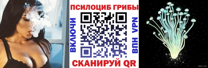Купить закладки Волосово Галлюциногенные грибы ЛСД
