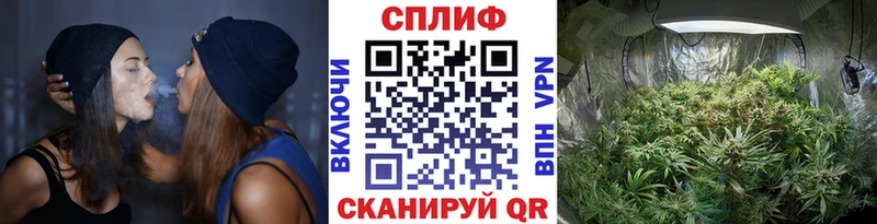 Купить где  Волосово  Канабис Bruce Banner 